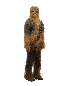 chw.png